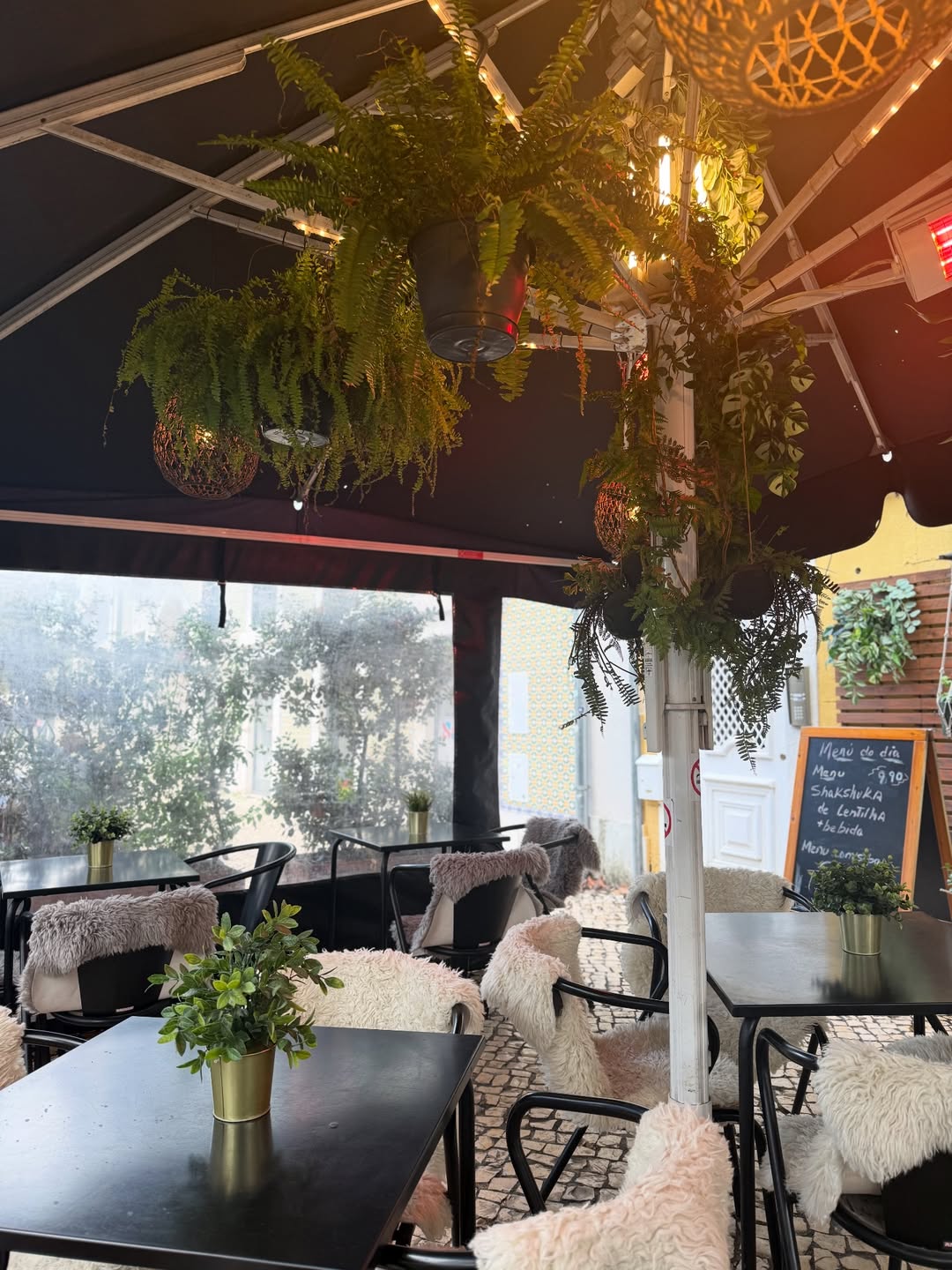 Interior com plantas, mesas de madeira e luz natural